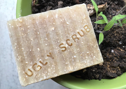 A light brown, rectangular soap with 'Ugly Scrub' stamped across its surface sits in a green pot alongside seedlings.